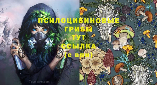 mix Рославль