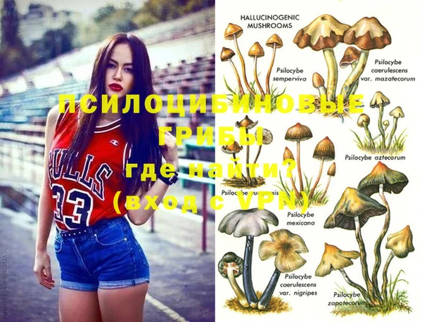 MDMA Россошь